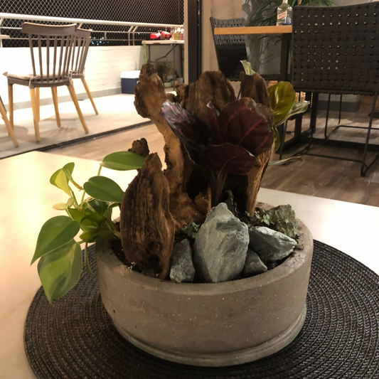 Bosques Vivos – Jardín de Rocas