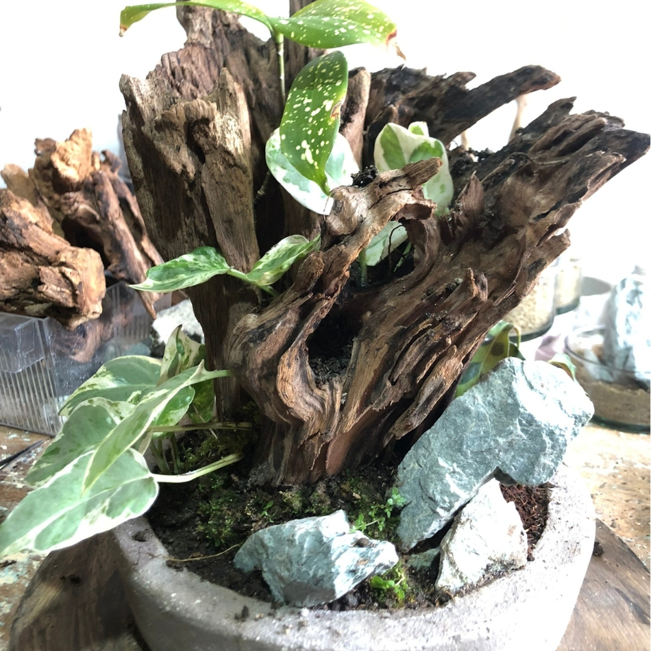 Bosques Vivos – JardÃn de Rocas