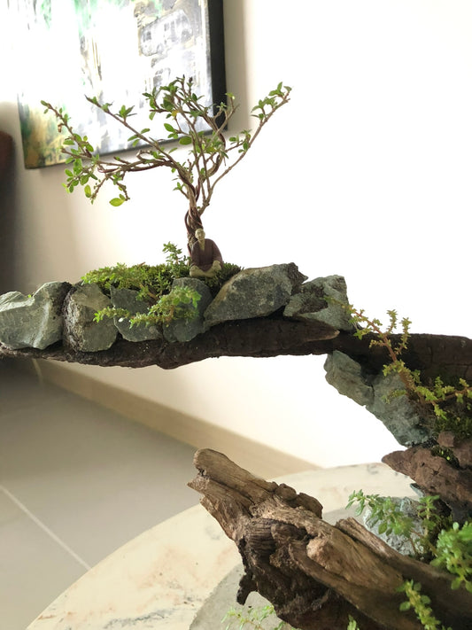 Arte benju – Edición Especial.