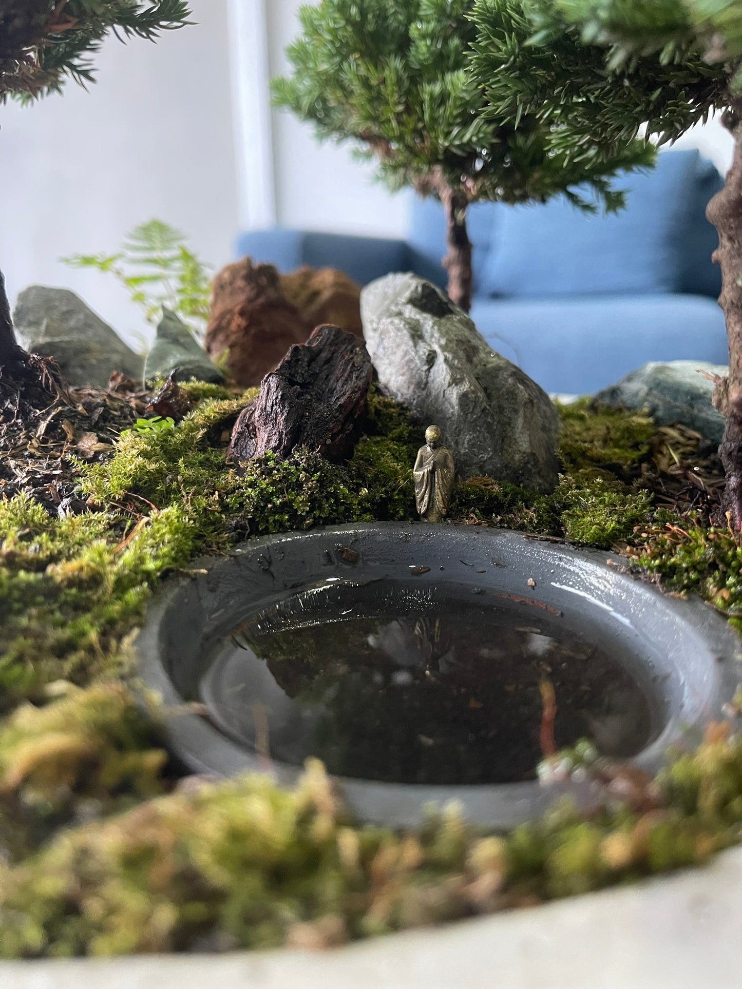 Bonsái con Lago Zen Pequeño