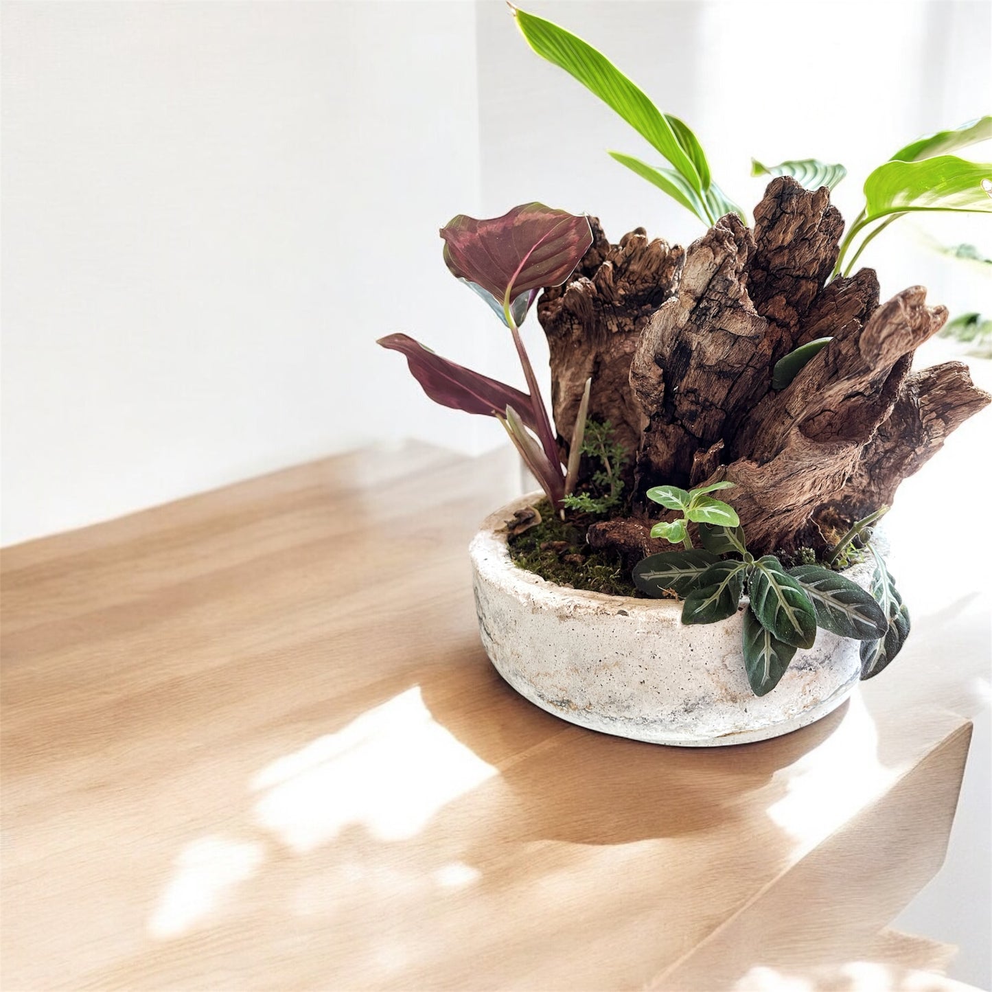 Arte Benju - Pequeño