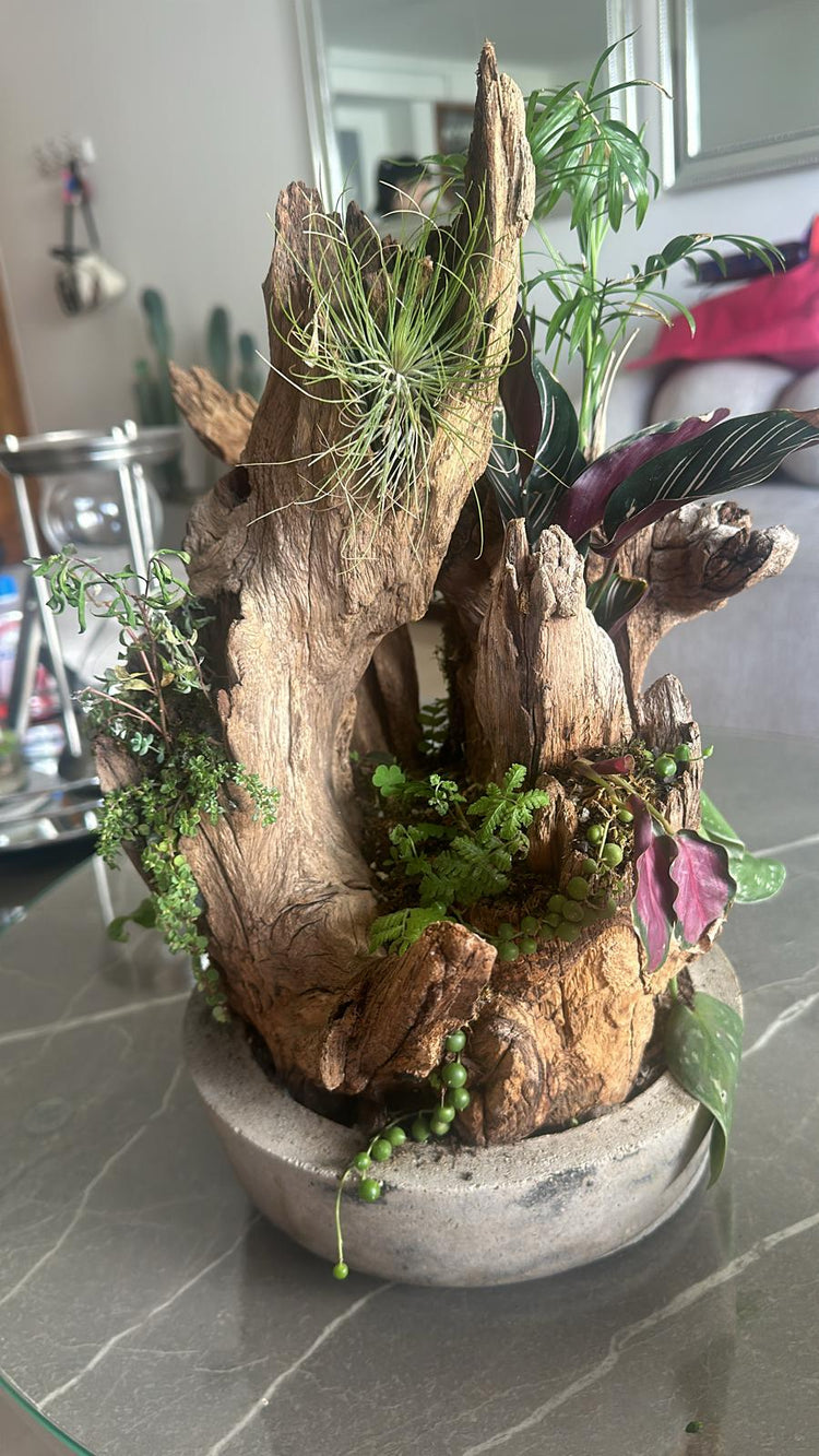 Bosques vivos (arte natural)