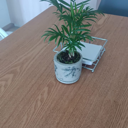 Matera (maceta) Choco