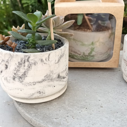 Matera (maceta) Choco