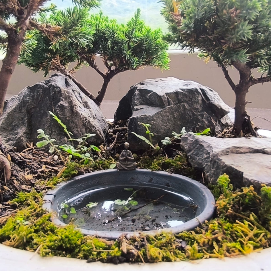 Bosques Vivos – Edición Río Profundo