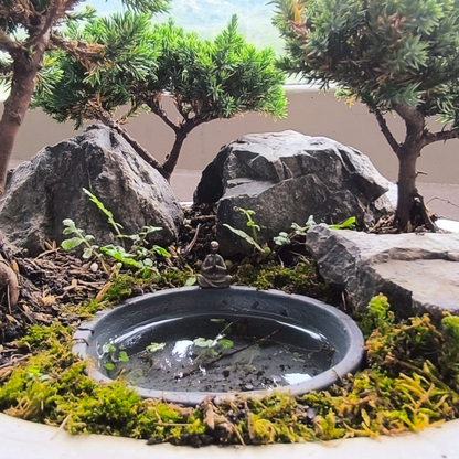 Bosques Vivos – Edición Río Profundo